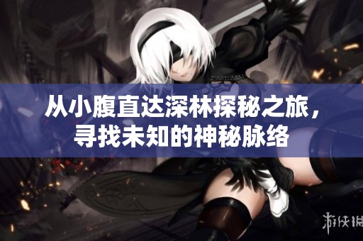 从小腹直达深林探秘之旅，寻找未知的神秘脉络