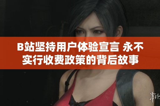 B站坚持用户体验宣言 永不实行收费政策的背后故事