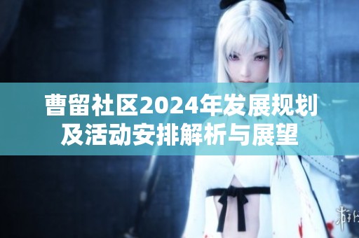 曹留社区2024年发展规划及活动安排解析与展望