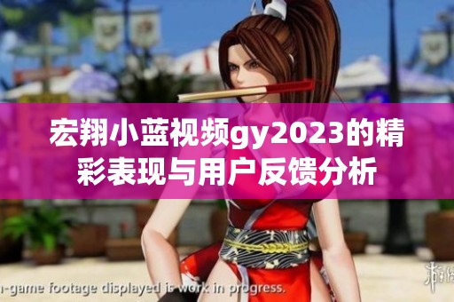 宏翔小蓝视频gy2023的精彩表现与用户反馈分析