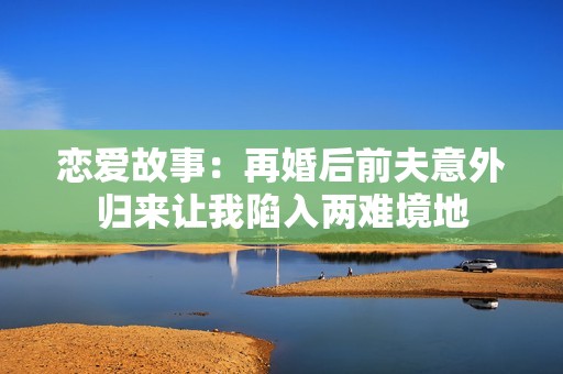 恋爱故事：再婚后前夫意外归来让我陷入两难境地