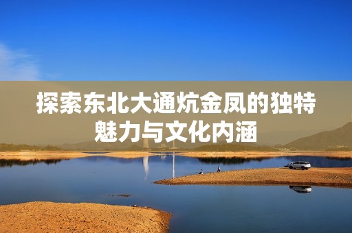 探索东北大通炕金凤的独特魅力与文化内涵