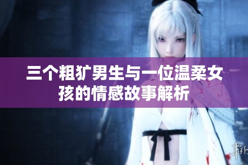 三个粗犷男生与一位温柔女孩的情感故事解析