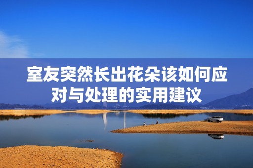 室友突然长出花朵该如何应对与处理的实用建议