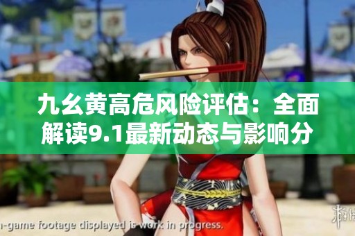 九幺黄高危风险评估：全面解读9.1最新动态与影响分析