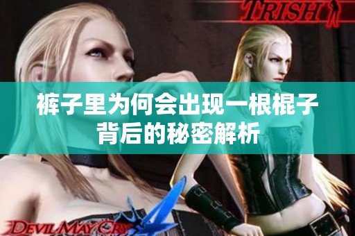 裤子里为何会出现一根棍子背后的秘密解析