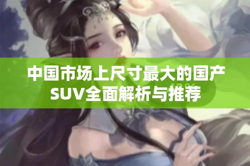 中国市场上尺寸最大的国产SUV全面解析与推荐