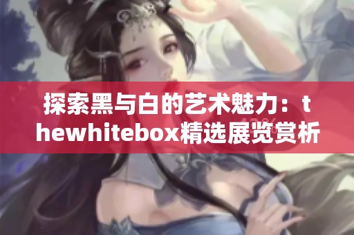 探索黑与白的艺术魅力：thewhitebox精选展览赏析