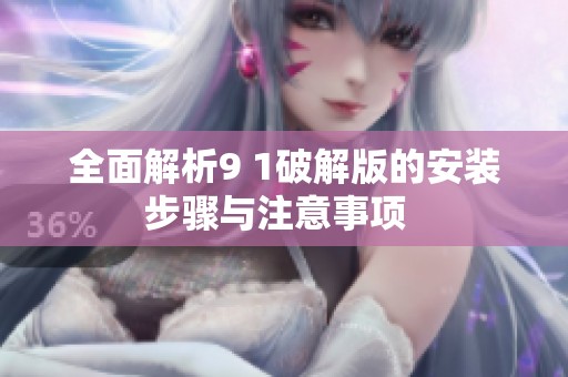 全面解析9 1破解版的安装步骤与注意事项  