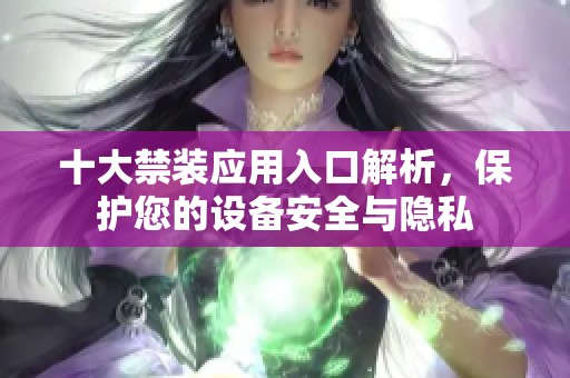 十大禁装应用入口解析，保护您的设备安全与隐私