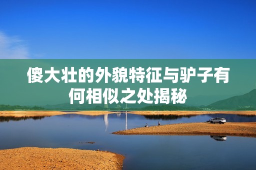 傻大壮的外貌特征与驴子有何相似之处揭秘