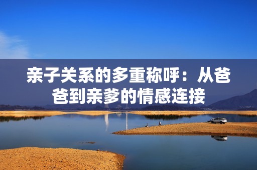 亲子关系的多重称呼：从爸爸到亲爹的情感连接