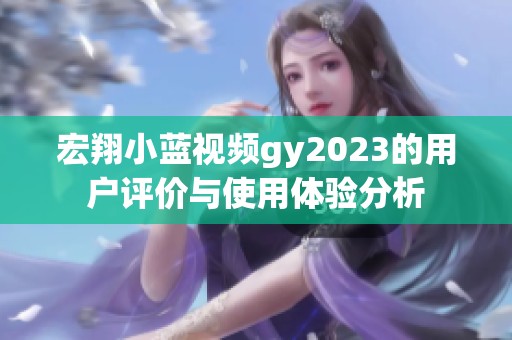 宏翔小蓝视频gy2023的用户评价与使用体验分析