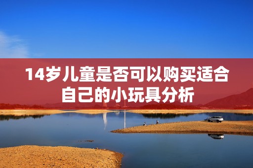 14岁儿童是否可以购买适合自己的小玩具分析