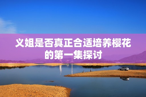 义姐是否真正合适培养樱花的第一集探讨