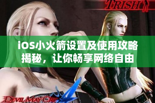 iOS小火箭设置及使用攻略揭秘，让你畅享网络自由