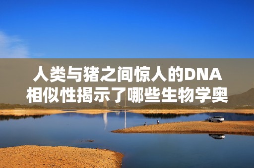 人类与猪之间惊人的DNA相似性揭示了哪些生物学奥秘