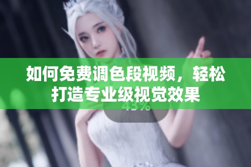 如何免费调色段视频，轻松打造专业级视觉效果