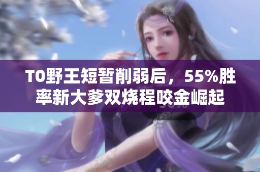 T0野王短暂削弱后，55%胜率新大爹双烧程咬金崛起