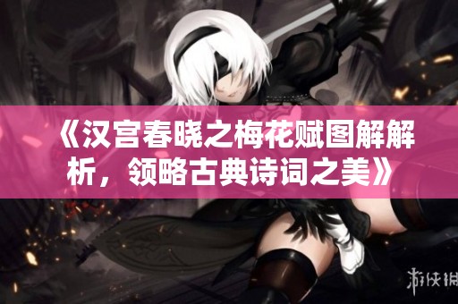 《汉宫春晓之梅花赋图解解析，领略古典诗词之美》