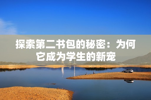 探索第二书包的秘密：为何它成为学生的新宠