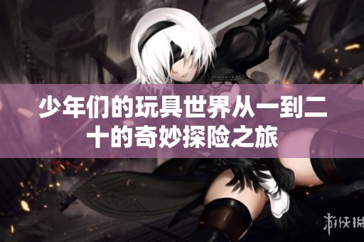 少年们的玩具世界从一到二十的奇妙探险之旅