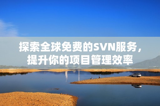 探索全球免费的SVN服务，提升你的项目管理效率