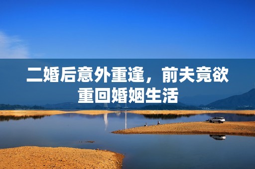 二婚后意外重逢，前夫竟欲重回婚姻生活