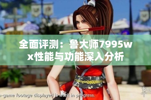 全面评测：鲁大师7995wx性能与功能深入分析