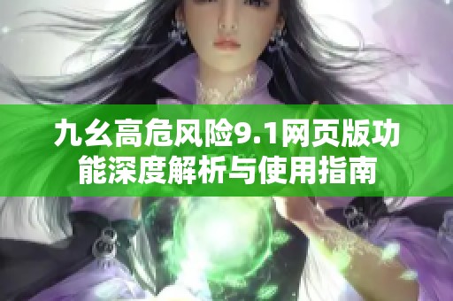 九幺高危风险9.1网页版功能深度解析与使用指南