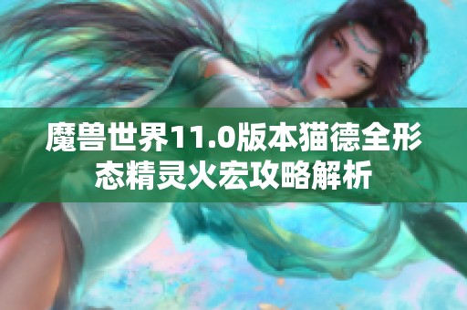 魔兽世界11.0版本猫德全形态精灵火宏攻略解析