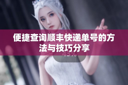 便捷查询顺丰快递单号的方法与技巧分享