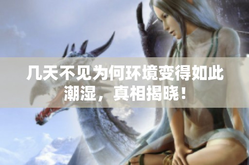 几天不见为何环境变得如此潮湿，真相揭晓！