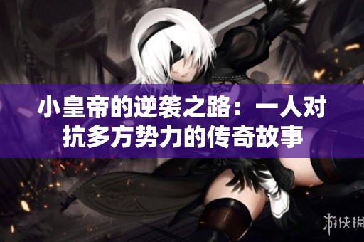 小皇帝的逆袭之路：一人对抗多方势力的传奇故事
