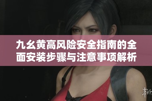 九幺黄高风险安全指南的全面安装步骤与注意事项解析