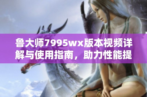 鲁大师7995wx版本视频详解与使用指南，助力性能提升