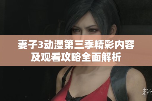 妻子3动漫第三季精彩内容及观看攻略全面解析