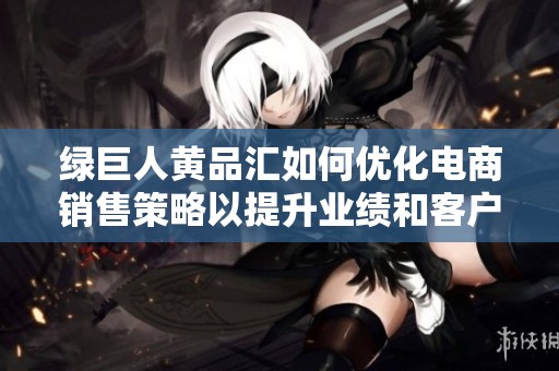 绿巨人黄品汇如何优化电商销售策略以提升业绩和客户满意度