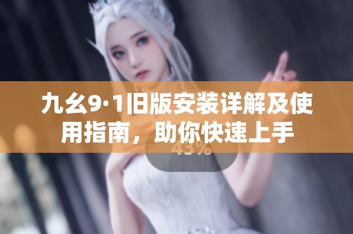 九幺9·1旧版安装详解及使用指南，助你快速上手