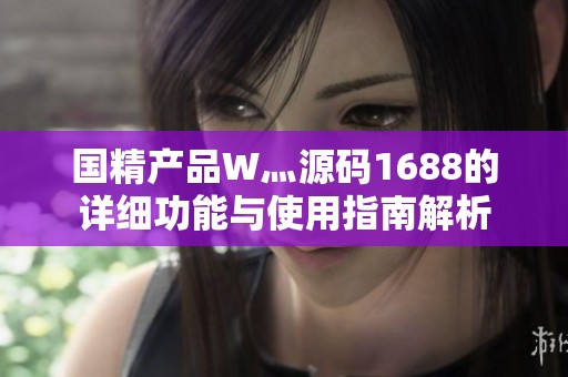 国精产品W灬源码1688的详细功能与使用指南解析