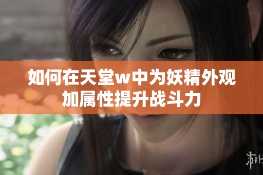 如何在天堂w中为妖精外观加属性提升战斗力