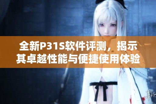 全新P31S软件评测，揭示其卓越性能与便捷使用体验