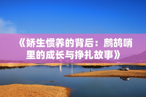 《娇生惯养的背后：鹧鸪哨里的成长与挣扎故事》