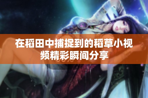 在稻田中捕捉到的稻草小视频精彩瞬间分享