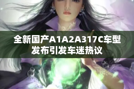 全新国产A1A2A317C车型发布引发车迷热议