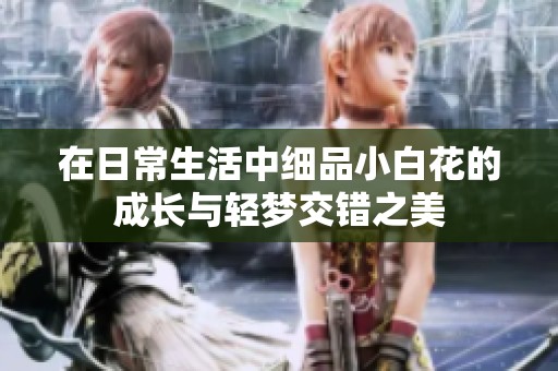 在日常生活中细品小白花的成长与轻梦交错之美