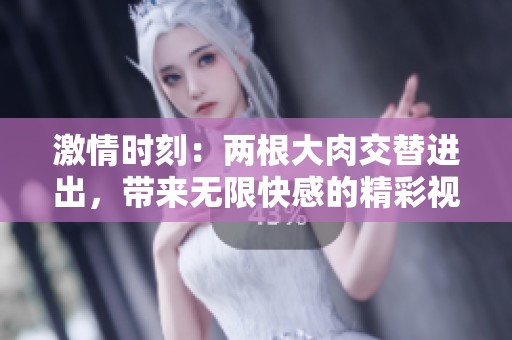 激情时刻：两根大肉交替进出，带来无限快感的精彩视频
