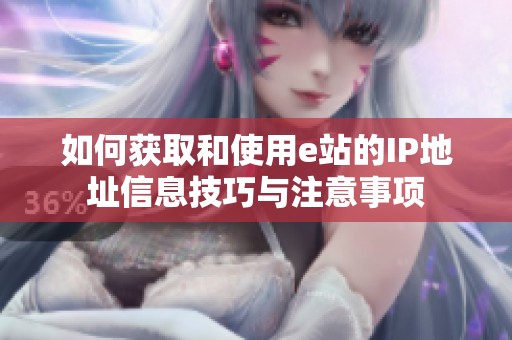 如何获取和使用e站的IP地址信息技巧与注意事项