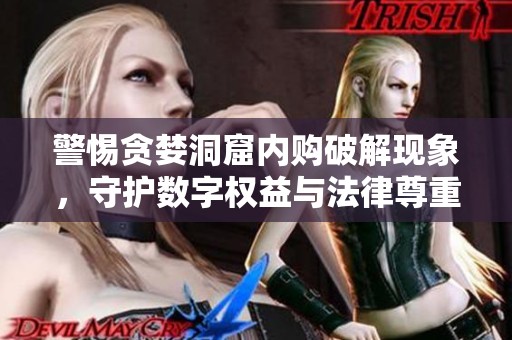 警惕贪婪洞窟内购破解现象，守护数字权益与法律尊重