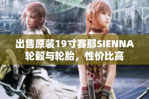 出售原装19寸赛那SIENNA轮毂与轮胎，性价比高